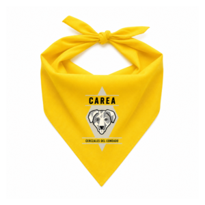 Pañuelo Carea